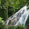 ocho rios hilites tour shaw park