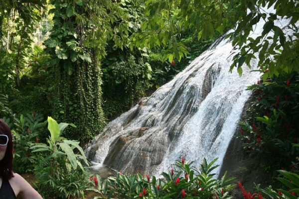 ocho rios hilites tour shaw park