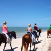 reggae horseback riding tour negril