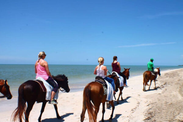 reggae horseback riding tour negril