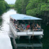 Black River Safari tour boat