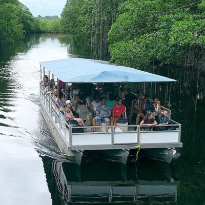 Black River Safari tour boat