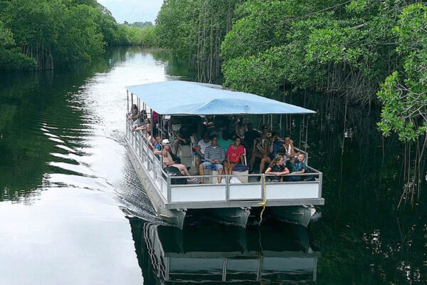 Black River Safari tour boat