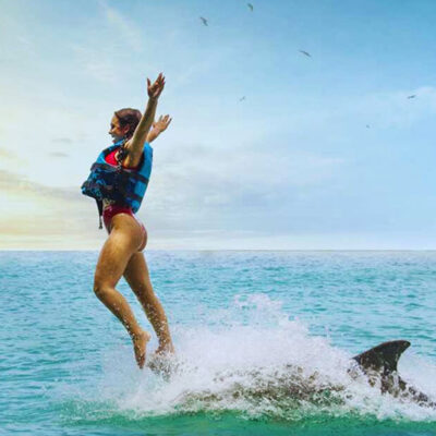 dolphin swim montego bay dorsal swim