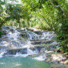 dunn's river falls tour