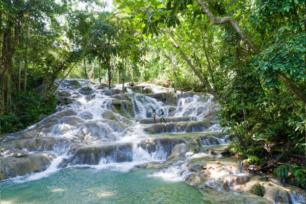 dunn's river falls tour