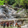 dunn's river falls tour group