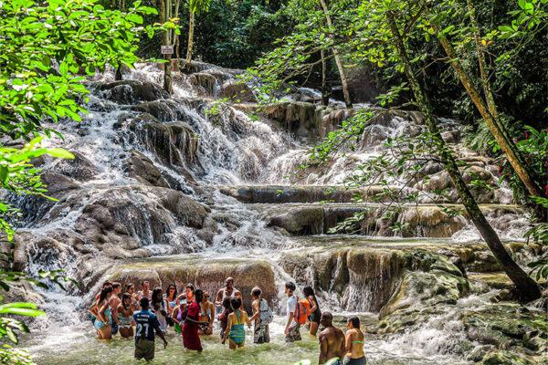 dunn's river falls tour group