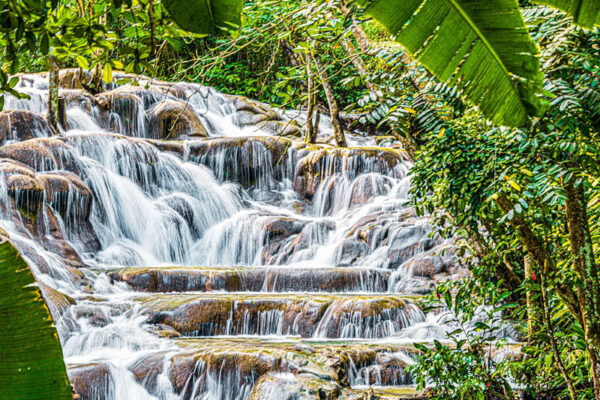 dunn's river falls tour sparkling falls