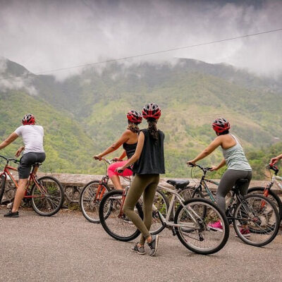 choose your driver blue mountain bicycle tour scenic view