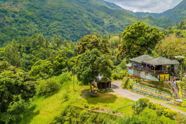 choose your driver Blue Mountain Tours Kingston hiking