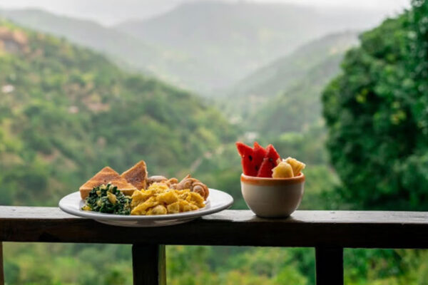 choose your driver Blue Mountain Tours Kingston lunch