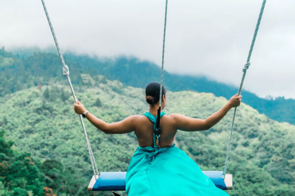 choose your driver Blue Mountain Tours Kingston a view from the swing
