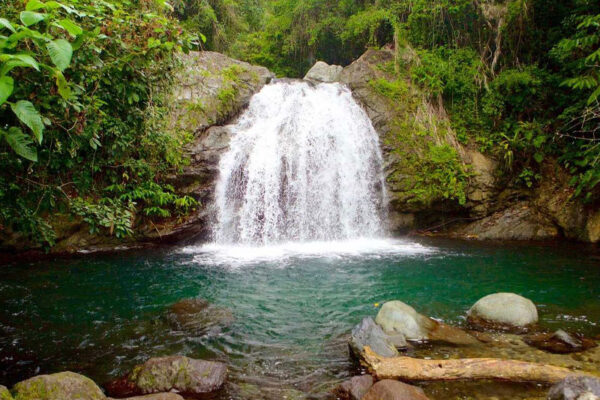choose your driver Blue Mountain Tours Kingston waterfalls