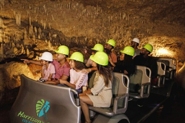 chukka harrison's cave adventure pass tour