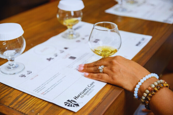 Chukka Double Tour Park Pass Rum Tasting