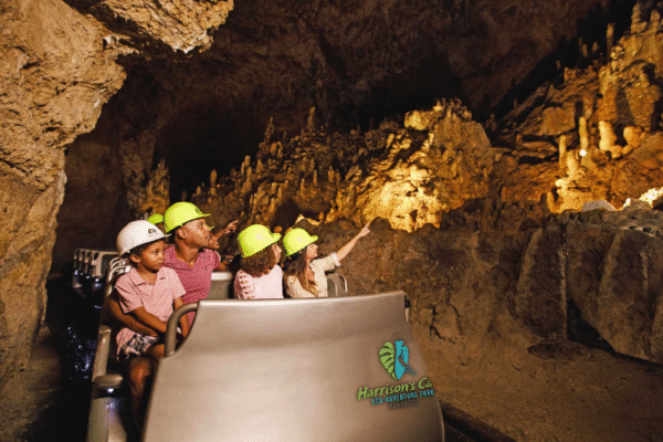 Chukka Monkey Zip and Signature Pass Tourists in Tram Touring Cave