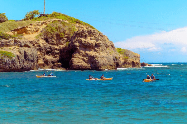 Chukka Ocean Outpost Day Pass Patrons in Water