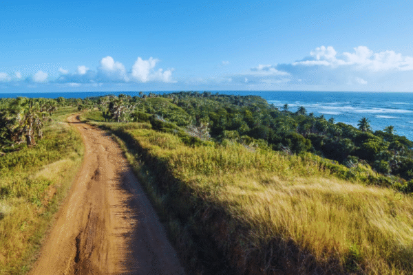 Chukka Ocean Single ATVs and Dune Buggy Path