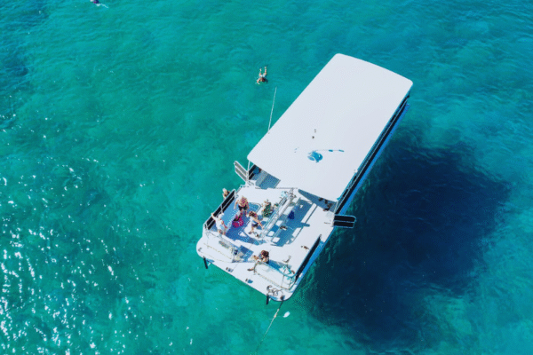 SeaFari FastCat Party Boat in Water